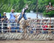 Rodeo 6